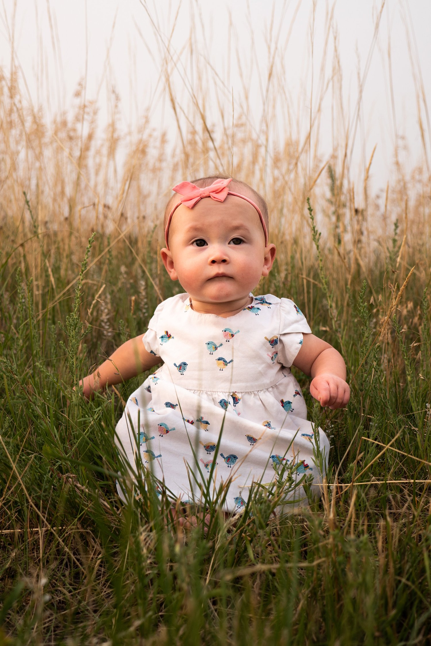 Photograph by Daniel Lindeen (42 of 50)